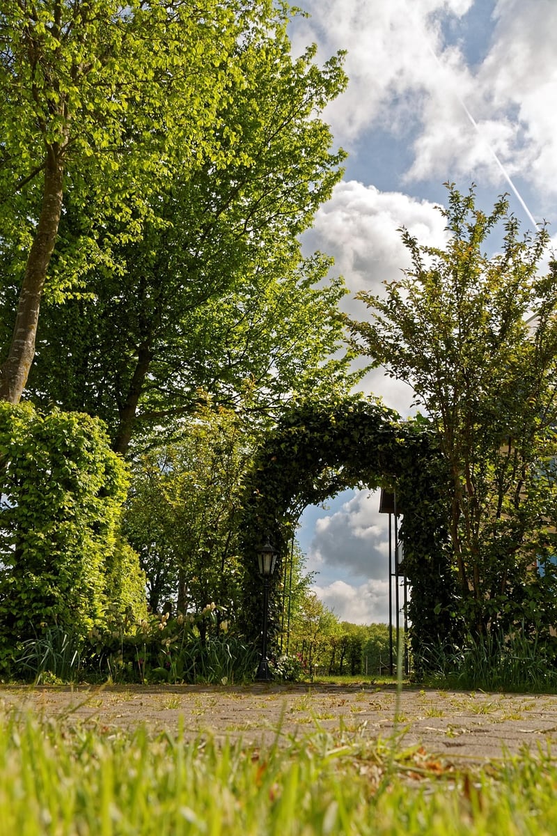 Secret Garden Pathway